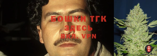 шишки Магадан