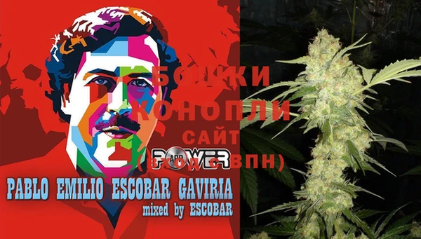 шишки Магадан