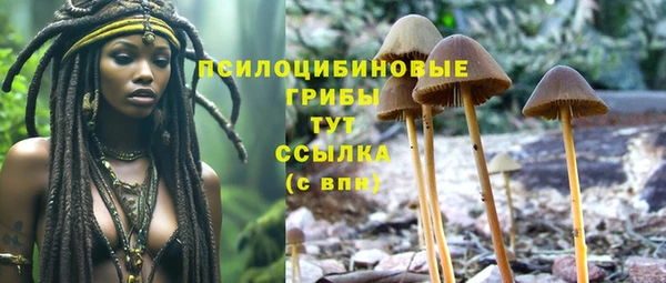 экстази Магас