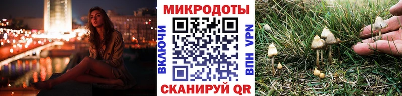 Псилоцибиновые грибы Psilocybe Купить закладки Ставрополь